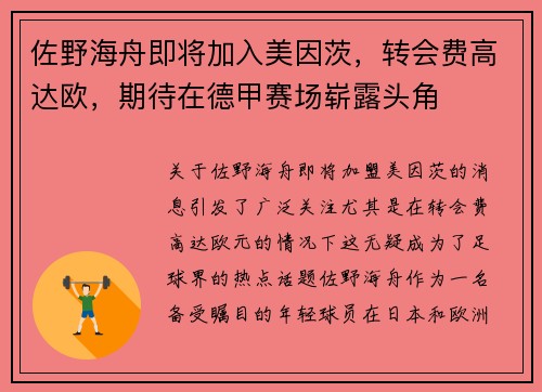 佐野海舟即将加入美因茨，转会费高达欧，期待在德甲赛场崭露头角