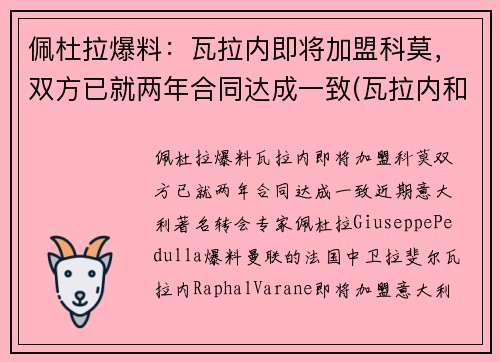 佩杜拉爆料：瓦拉内即将加盟科莫，双方已就两年合同达成一致(瓦拉内和佩佩)